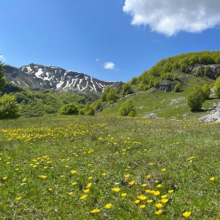 Guesthouse Alpini Lepushe Экстерьер фото