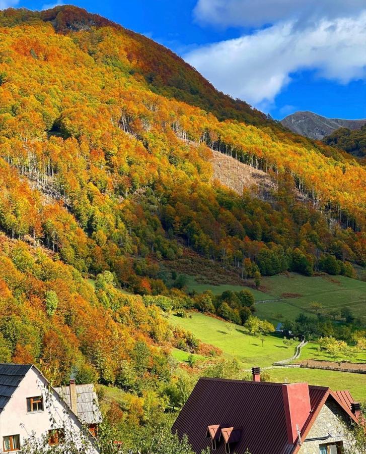 Guesthouse Alpini Lepushe Экстерьер фото